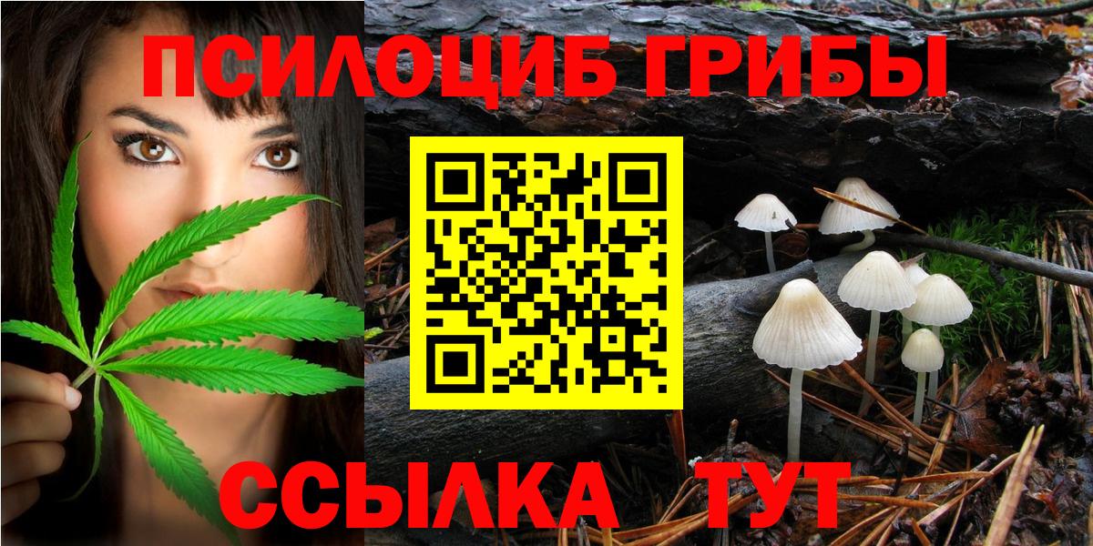 Псилоцибиновые грибы Magic Shrooms  как найти наркотики  Новосибирск  Галлюциногенные грибы мицелий  Вход с VPN 